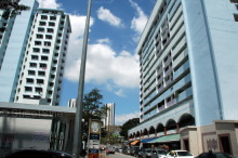 Blk 803 King George's Avenue (Kallang/Whampoa), HDB 3 Rooms #156102